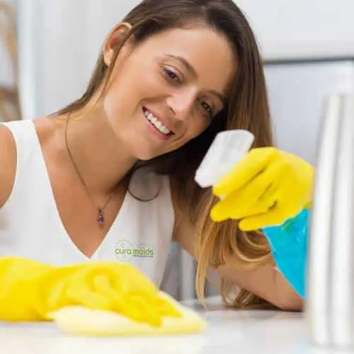 Kitchen Cleaning Service in Raleigh